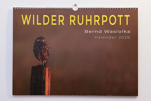 Cover Wilder Ruhrpottt Homepage