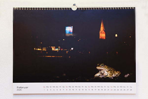 Ruhrpott Kalender 2026 Februar 600x400