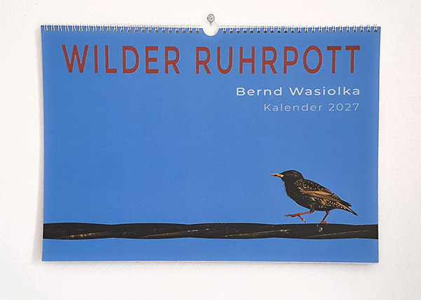 Cover Wilder Ruhrpott 600x460