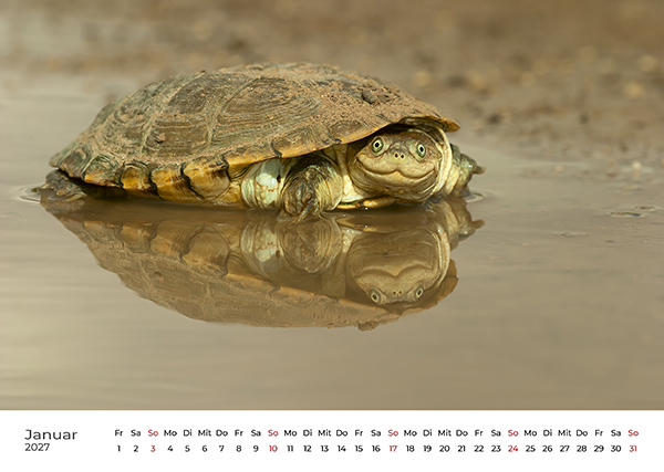 Ruhrpott Kalender 2026 Februar 600x400