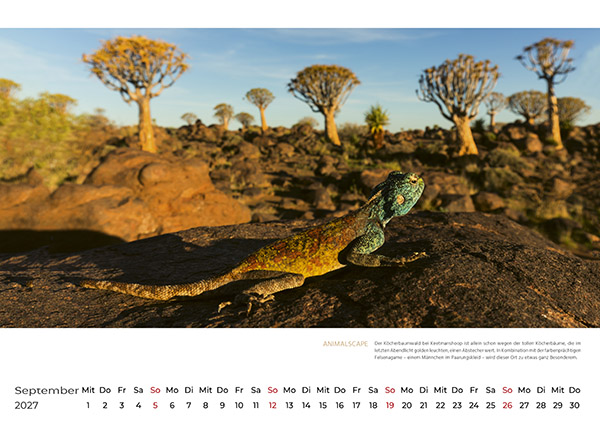 Namibia Kalender 2026 Juni 600x400